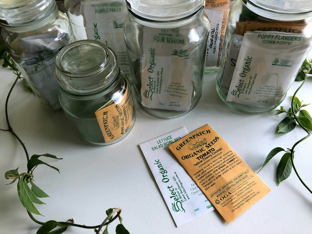 how to save seeds from summer vegetables - complete guide to seed saving for home gardener