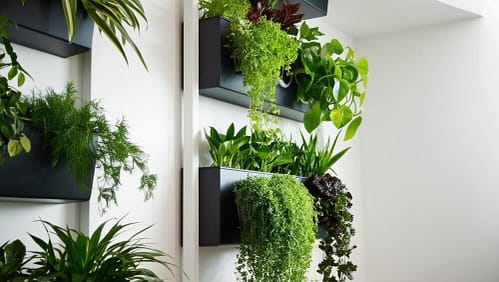 Vertical  indoor farden