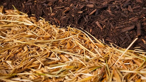 straw, and organic mulch